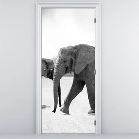 Fototapeta na dvere - Slony (95x205cm)