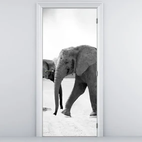 Fototapeta na dvere - Slony (95x205cm)