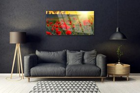 Obraz plexi Lúka maky rastlina príroda 100x50 cm