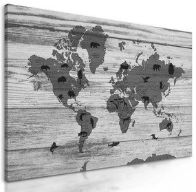 Obraz čiernobiela mapa sveta so symbolickými zvieratami  na drevenom podklade