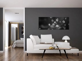 Obraz - Cottongrass na lúke (120x50 cm)