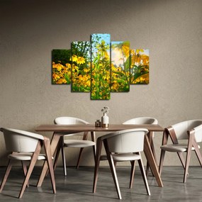 Obraz žltých kvetov (150x105 cm)