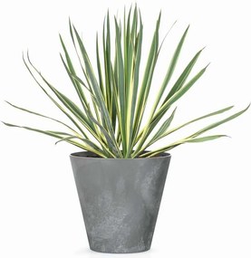 Kvetináč Tubus Small Oval sivý