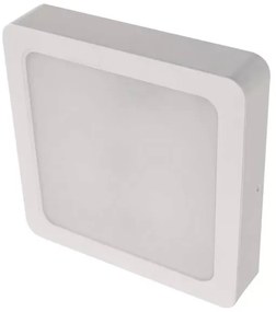 LED Stropné svietidlo LED/24W/230V 22x22 cm biela
