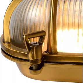 Lucide 11891/20/02 - Vonkajšie nástenné svietidlo DUDLEY 1xE27/40W/230V IP65