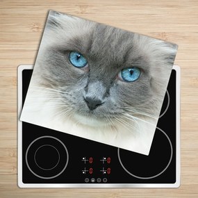 Sklenená doska na krájanie Mačka s modrými očami 60x52 cm