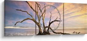 Obraz stromu v oceáne (s hodinami) (90x30 cm)