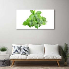 Skleneny obraz Mäta rastlina príroda 100x50 cm