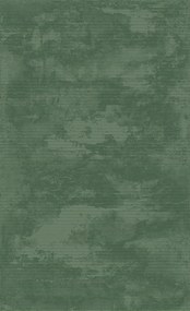 Koberec Eforia 9551 GREEN – zelený obdĺžnik do každej izby Rozmer: 80x150 cm