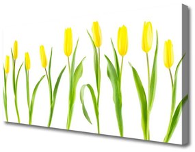 Obraz Canvas Žlté tulipány kvety 140x70 cm