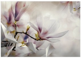 Artgeist Fototapeta - Subtle Magnolias - First Variant Veľkosť: 300x210, Verzia: Premium