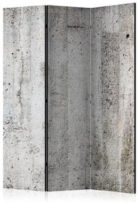 Artgeist Paraván - Grey Emperor [Room Dividers]