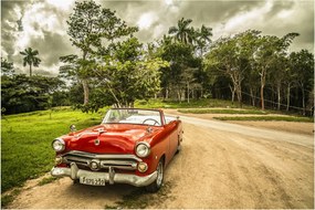 Obraz - auto veterán v prírode (90x60 cm)