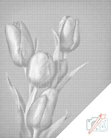 Gario Bodkovanie Fialové tulipány Rozmery: 40 x 50 cm, Rámovanie: Iba zrolované plátno, Farba bodiek: Čierna