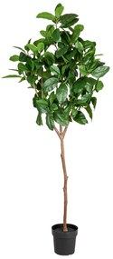 LIVARNO home Umelá rastlina magnólia, 190 cm (100356784)