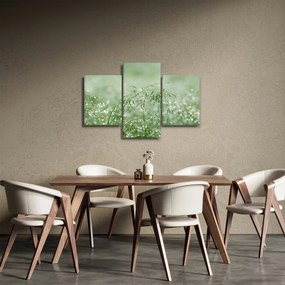 Obraz - Ranná rosa na steblach trávy (90x60 cm)