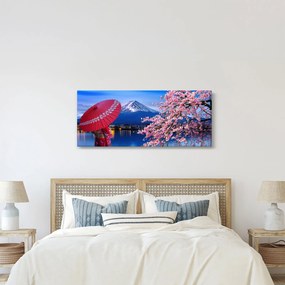 Obraz - Výhľad na vrchol, Japonsko (120x50 cm)