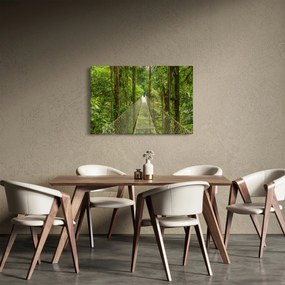 Obraz - Závesný most (90x60 cm)