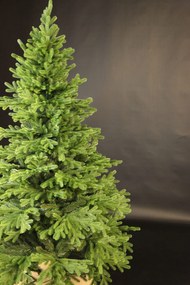 Smrek Tirolský 3D- 170cm
