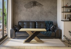 Konferenčný stolík Xalin (artisan + čierna). Akcia -19%. Vlastná spoľahlivá doprava až k Vám domov. 1055275