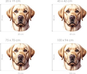 Pes Zlatý Retriever textilní prelepiteľná nálepka na stenu list 45 x 42 cm