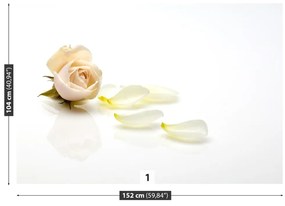 Fototapeta Vliesová Ružová ruža 104x70 cm