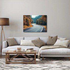 Obraz - Kľukatá cesta (70x50 cm)
