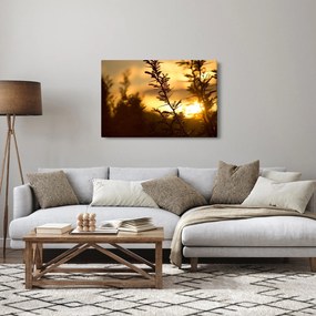 Obraz - Slnko zapadajúce za stromami (90x60 cm)