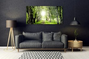 Obraz plexi Les slnko chodník príroda 120x60 cm