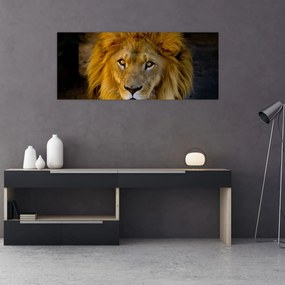 Obraz - Portrét leva (120x50 cm)