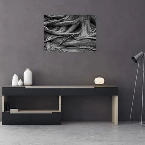 Obraz - Korene stromu (70x50 cm)