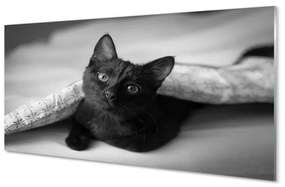 Sklenený obraz Mačka pod prikrývkou 125x50 cm