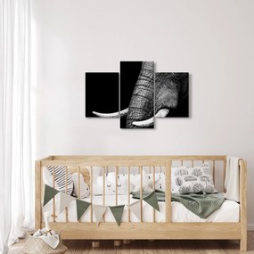 Obraz - Slonie kly (90x60 cm)