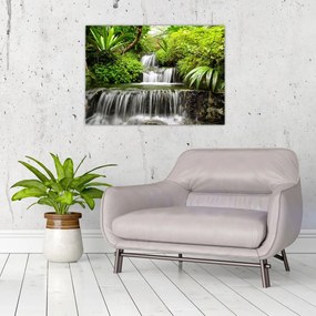 Obraz - Vodopád v dažďovom lese (70x50 cm)