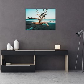 Sklenený obraz - Vyplavenie na pláži (70x50 cm)