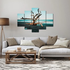 Obraz - Vyplavenie na pláži (150x105 cm)
