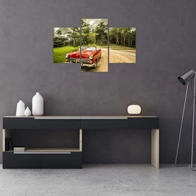 Obraz - auto veterán v prírode (90x60 cm)