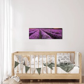 Obraz - Levanduľové pole pri západe slnka (s hodinami) (90x30 cm)
