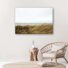 Gario Obraz na plátne Tráva na pobreží mora Rozmery: 60 x 40 cm