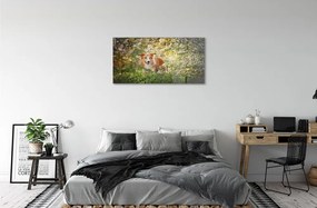 Sklenený obraz Psie lesné kvety 140x70 cm