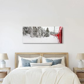 Obraz - Vlak v zasneženej krajine (120x50 cm)