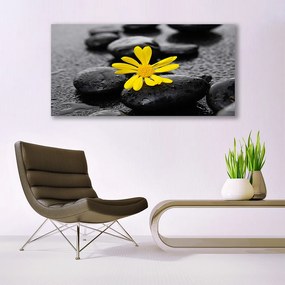 Obraz plexi Kvet kamene rastlina kúpele 120x60 cm