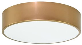 Temar Kúpeľňové stropné svietidlo CLEO 2xE27/24W/230V pr. 30 cm zlatá IP54 TM0033