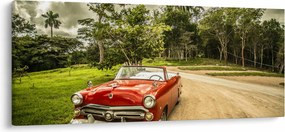 Obraz - auto veterán v prírode (120x50 cm)