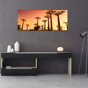 Obraz - Západ slnka v uličke Baobab (120x50 cm)