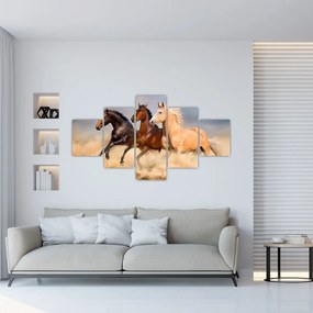Obraz - Divé kone (125x70 cm), 40 ďalších rozmerov