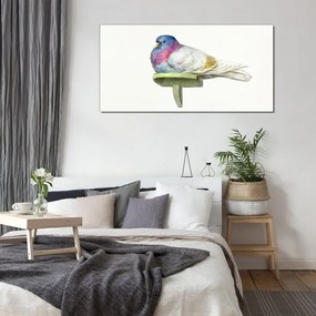 Obraz na skle Zvieracie vták holub