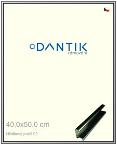 DANTIK rám na obraz 40x50 | ALU Šedá leská (Plexi Čiré)