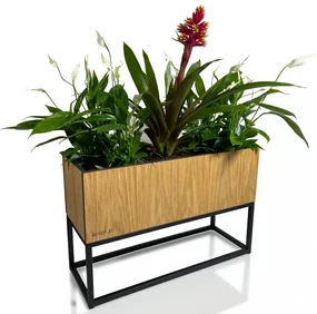 Dekoračný široký kvetináč z hladkého prírodného dubu LOFT FIORINO 62X22X40 cm