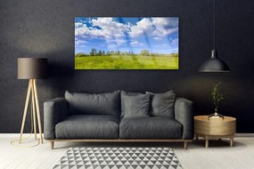 Obraz plexi Lúka tráva nebo krajina 120x60 cm